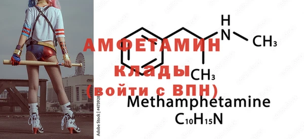 шишки Бородино