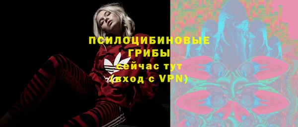 spice Богданович