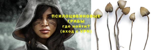 шишки Бородино