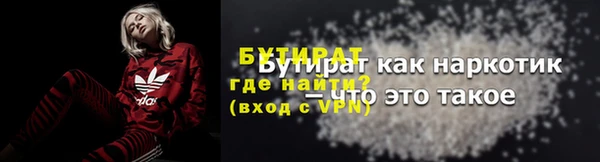 шишки Бородино