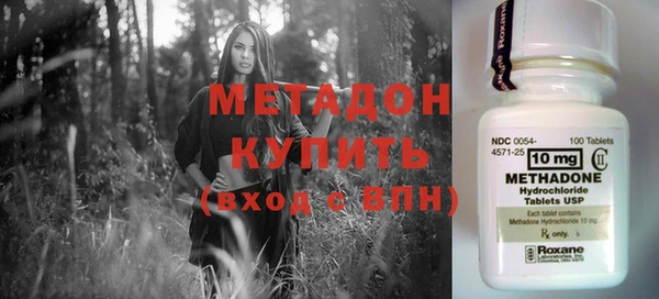 шишки Бородино