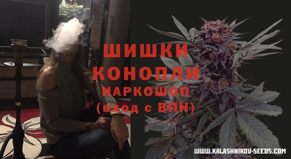 spice Богданович