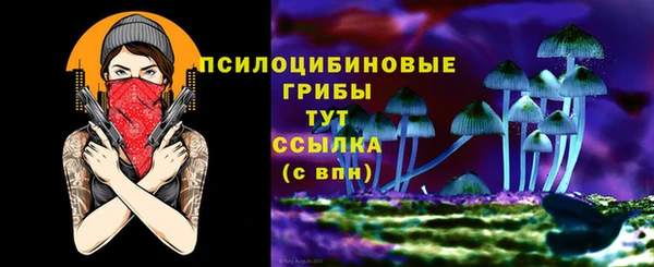 стафф Богородицк